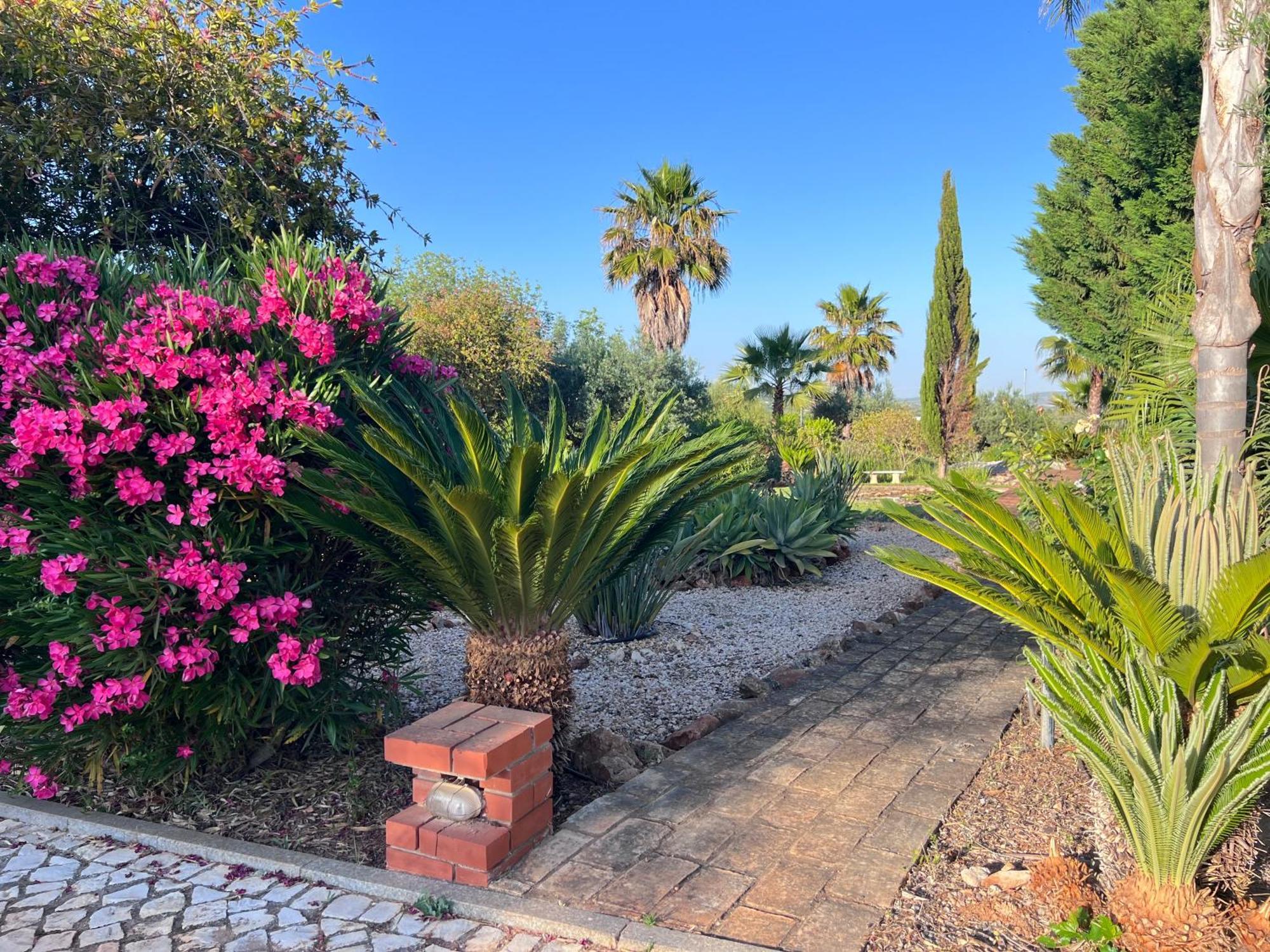 Vila Relaxmountain B&B São Bartolomeu de Messines 外观 照片