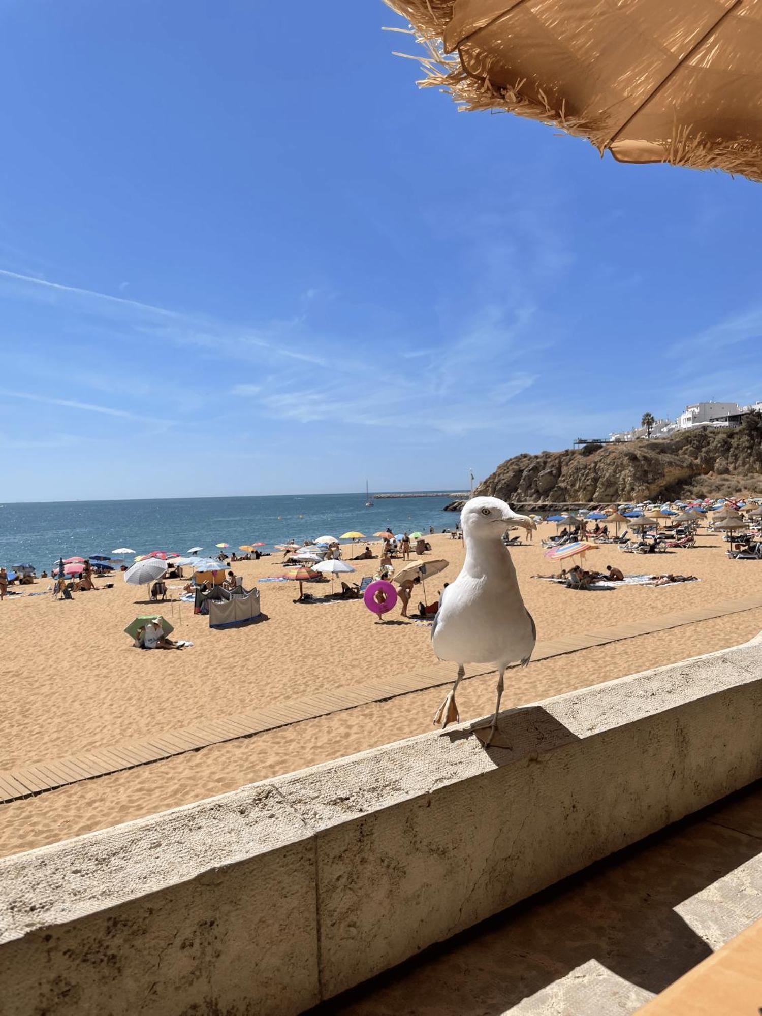 Vila Relaxmountain B&B São Bartolomeu de Messines 外观 照片